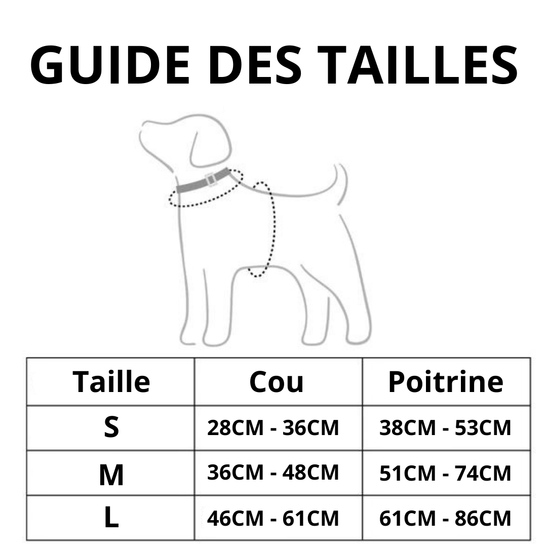 HARNAIS IMPERMÉABLE REGLABLE POUR CHIEN - LAVANDE