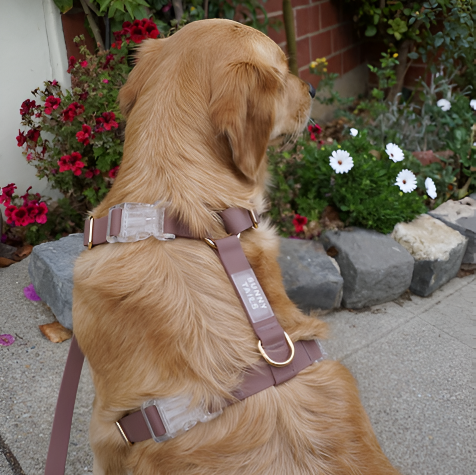 HARNAIS IMPERMÉABLE REGLABLE POUR CHIEN - MARRON