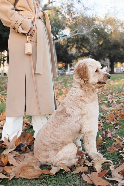 LAISSE IMPERMÉABLE MAIN LIBRE POUR CHIEN - BEIGE