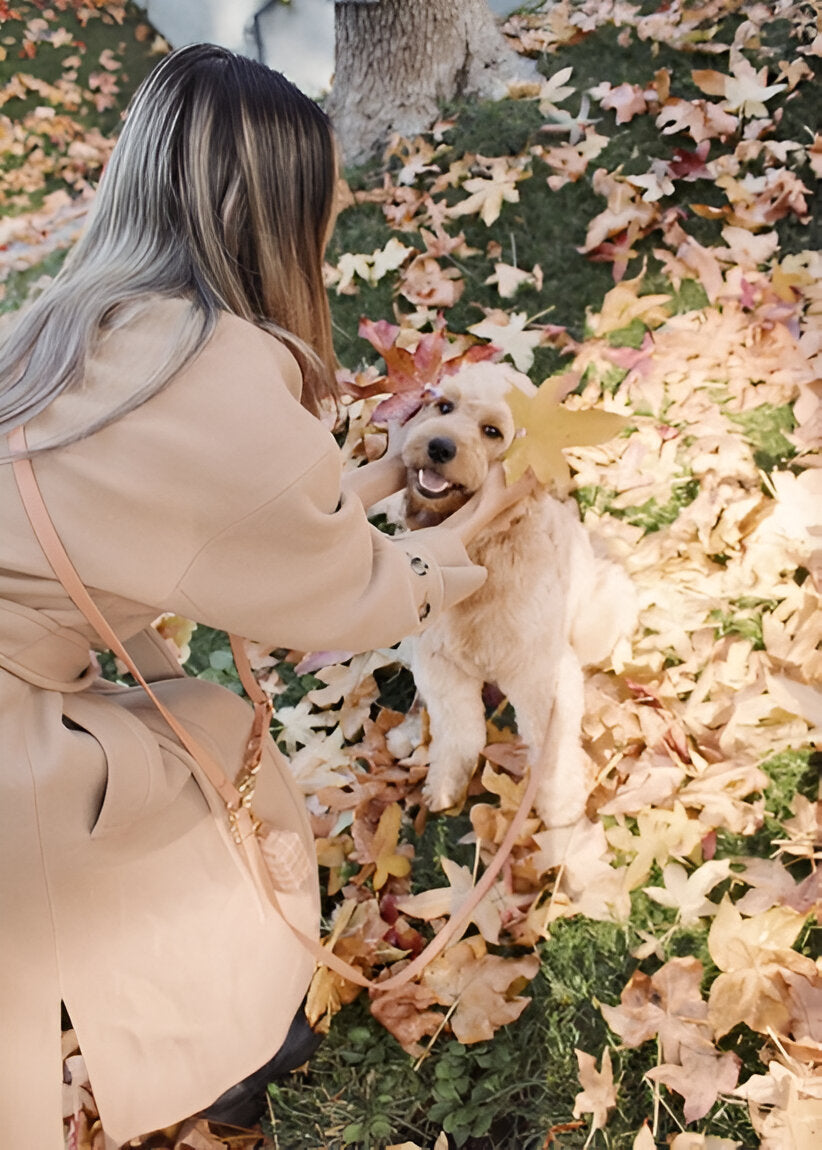 LAISSE IMPERMÉABLE MAIN LIBRE POUR CHIEN - BEIGE